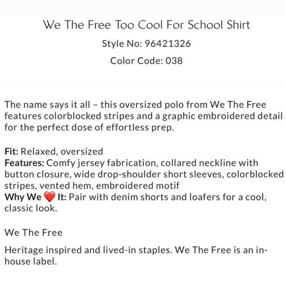 We The Free Too Cool For School Polo Shirt Oversized Blue Jay Color Block Large - Picture 7 of 12